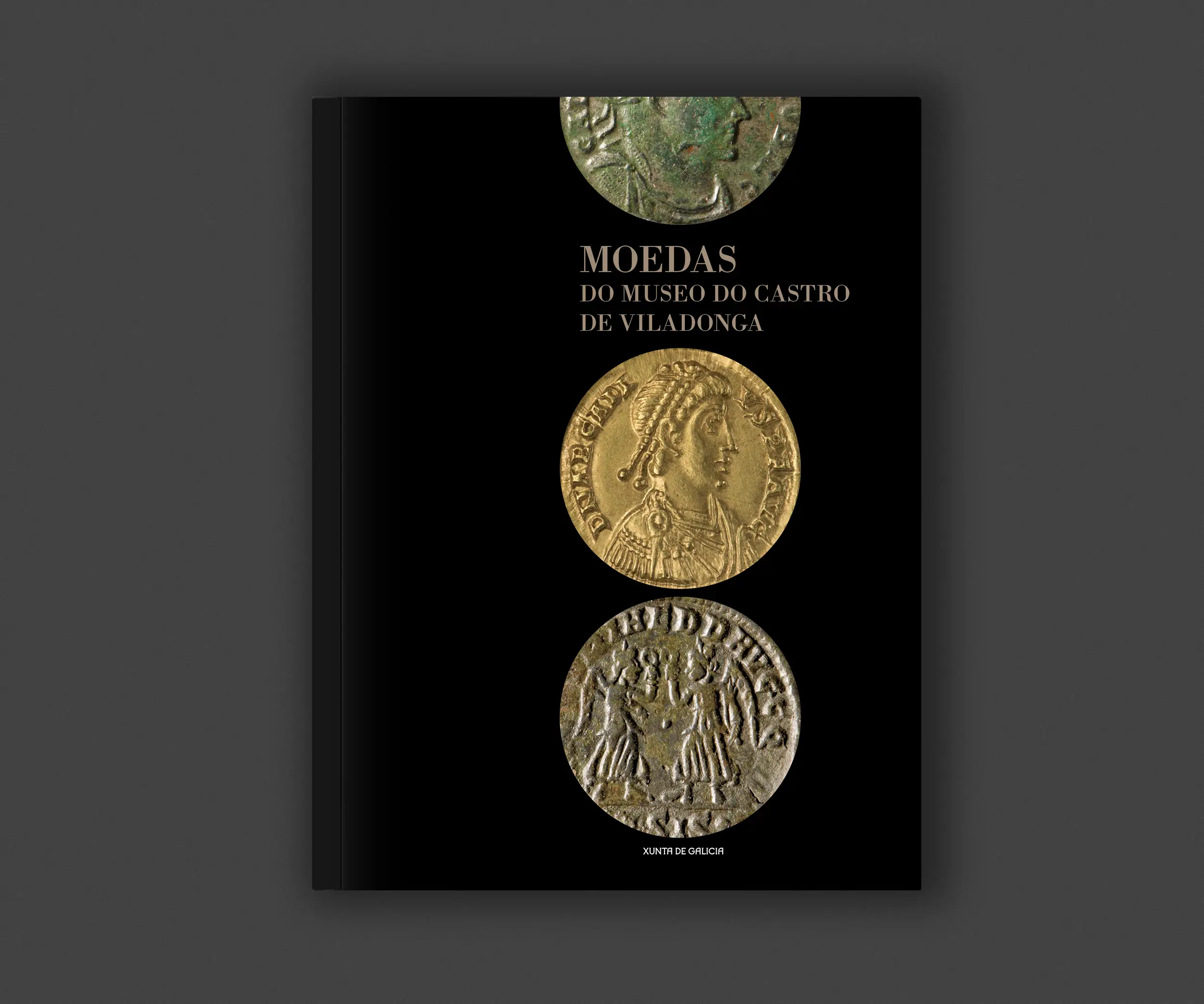Catálogo moedas Museo do Castro de Viladonga
