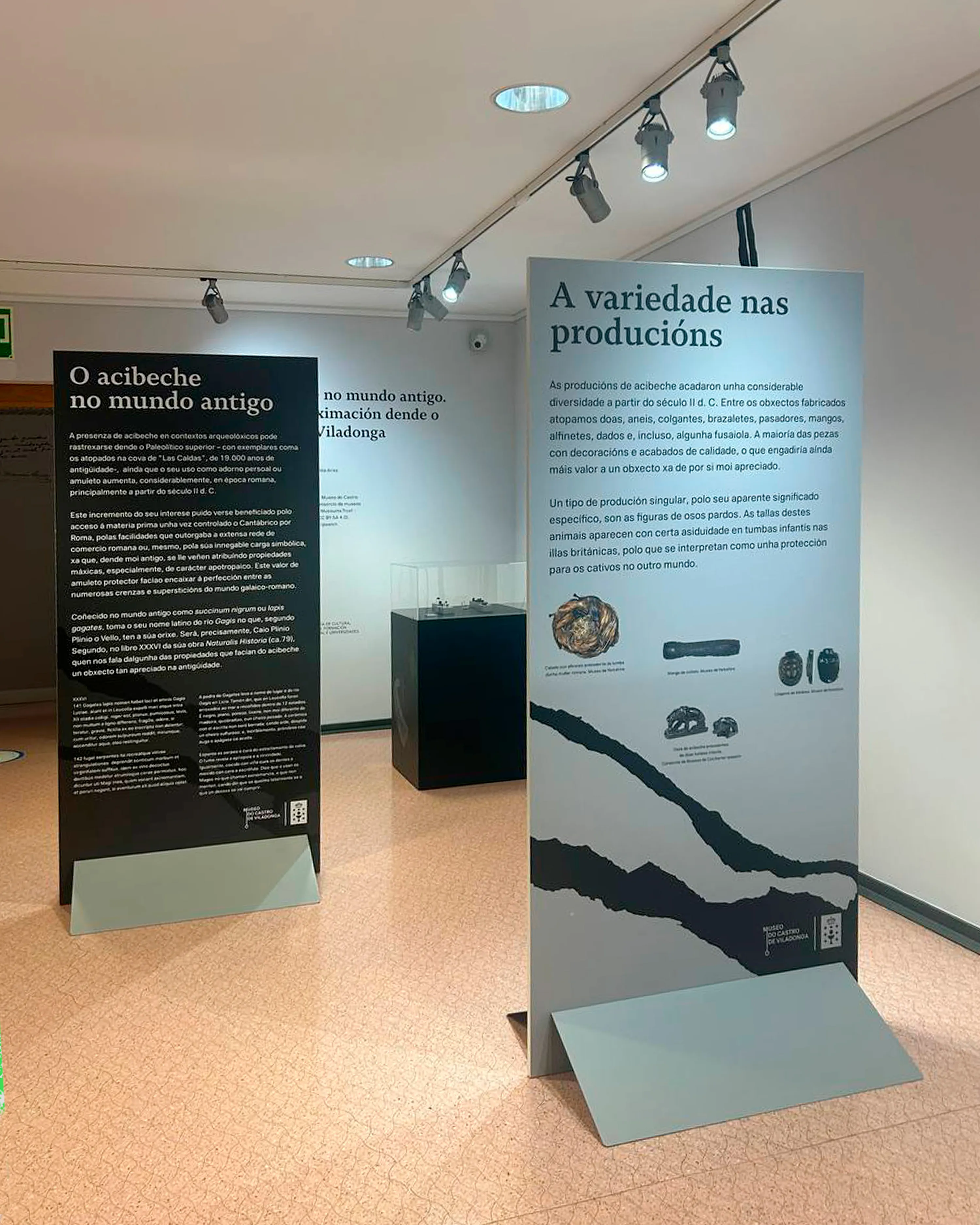 Exposición O acibeche no mundo antigo