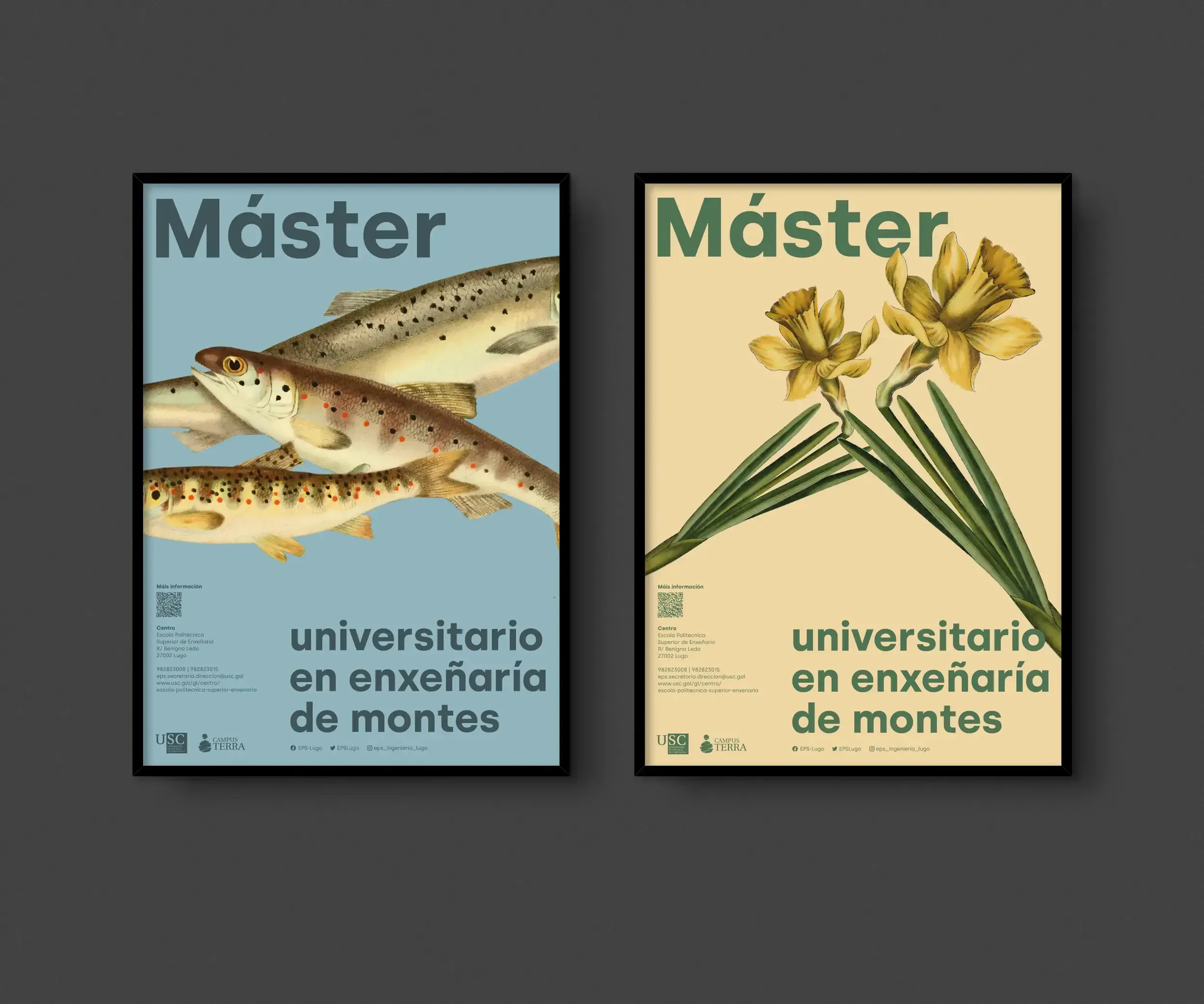 Variantes do cartel do Máster en Enxeñaría de Montes