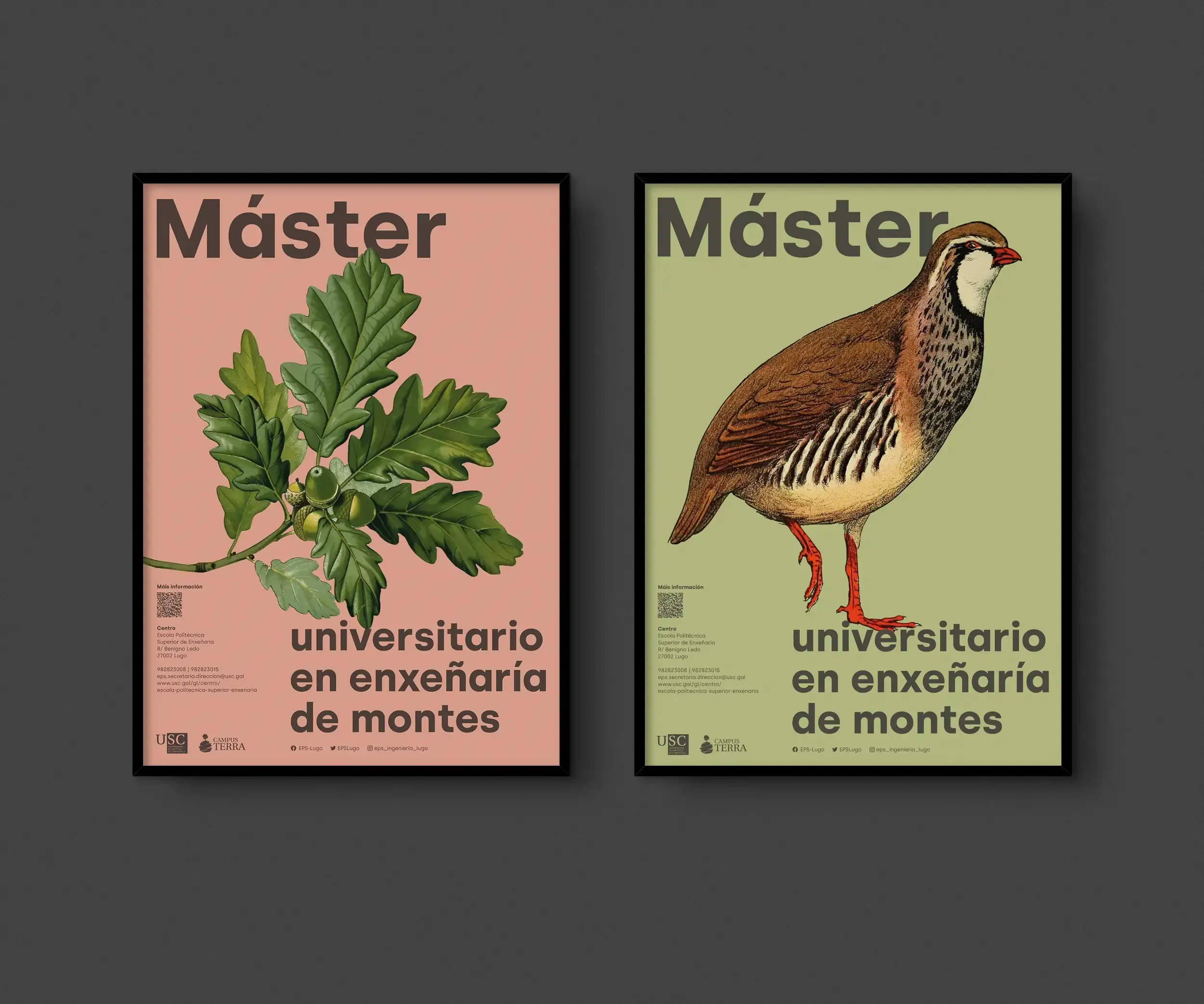 Variantes do cartel do Máster en Enxeñaría de Montes