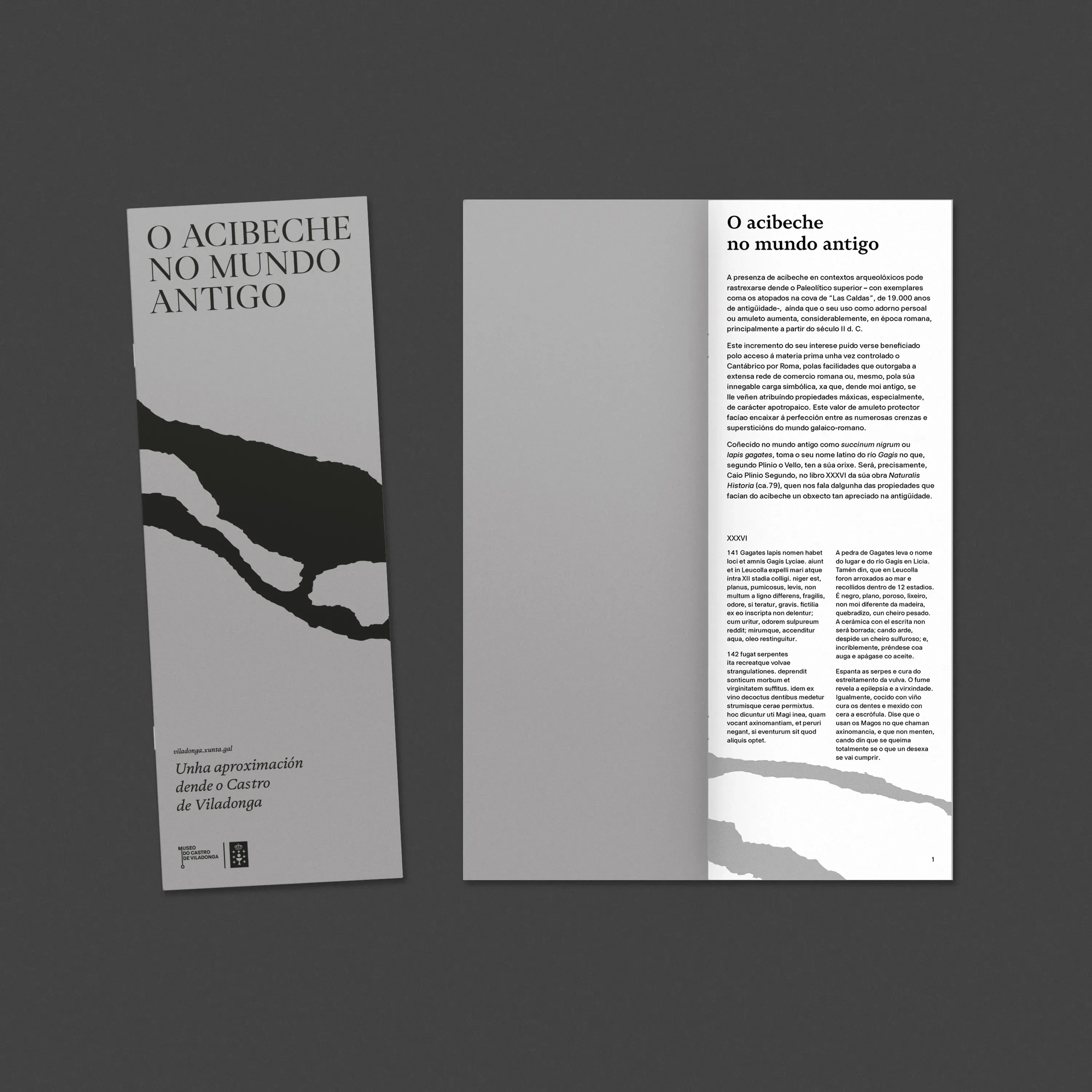 Folleto da exposición O acibeche no mundo antigo