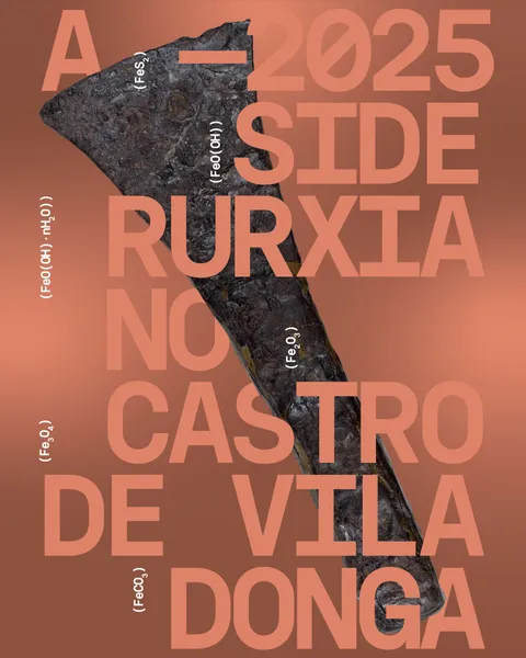 A siderurxia no castro de Viladonga
