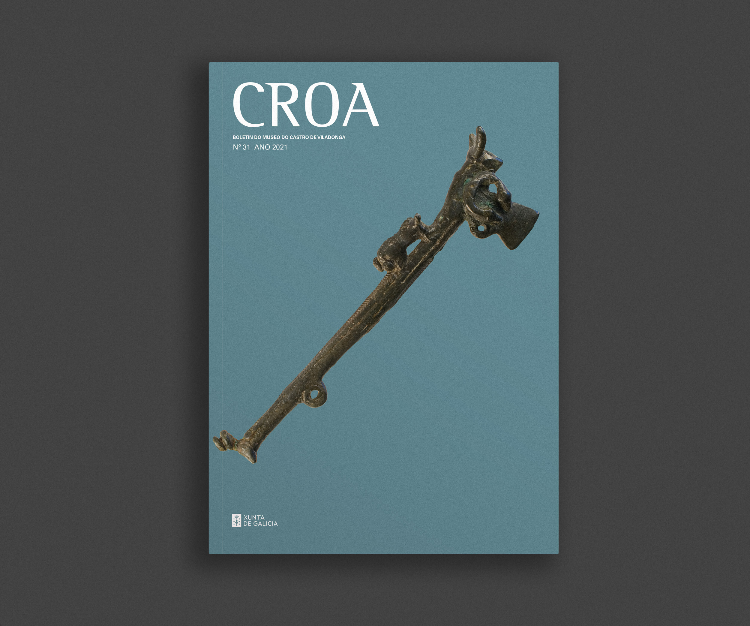 Boletín Croa nº 31